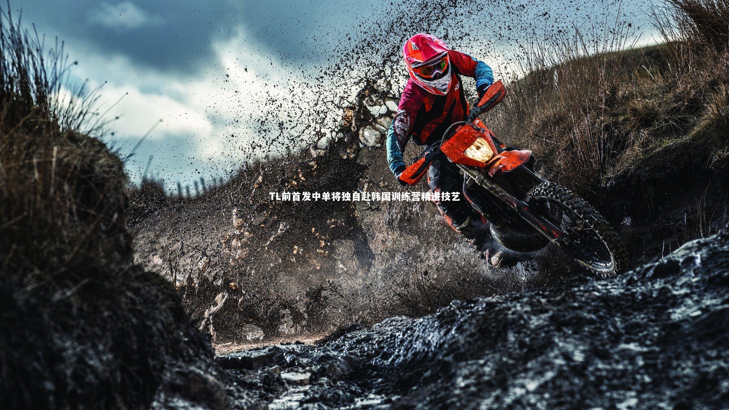 米兰体育app-TL前首发中单将独自赴韩国训练营精进技艺